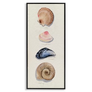 Stupell Industries Traditional Nautical Sea Shells Framed Giclee Art, Black, 10" x 24" - 1 of 4