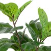 Northlight Two-Tone Fiddle Leaf Fig Artificial Potted Plant - 26" - Green - 4 of 4