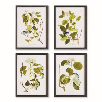 Plum & Post 17.75"W x 0.75"D x 23.5"H Floral And Berry Study Framed Wall Art Frame Set of 4