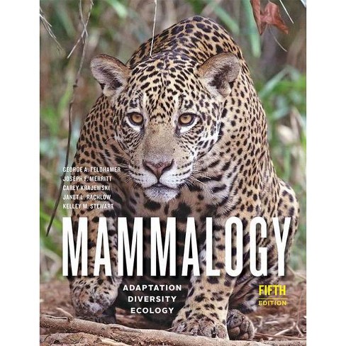 Mammalogy 5th Edition By George A Feldhamer Joseph F Merritt Carey Krajewski Janet L Rachlow Kelley M Stewart Hardcover Target