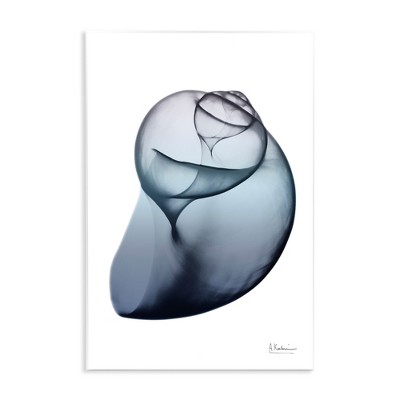 Stupell Industries Contemporary Snail Shell, 13" x 19"