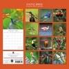 2026 Square Wall Calendar, Exotic Birds, 16-Month Animals Theme with 180 Reminder Stickers (12x12 In) - 4 of 4