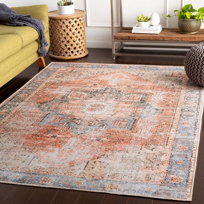 Vintage Blue and Rust Chenille Polyester Washable Area Rug