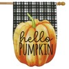 Briarwood Lane Fall House Flag 40x28 For Outdoor Hello Pumpkin Burlap For Fall House Flag - 2 of 4
