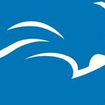 detroit lions