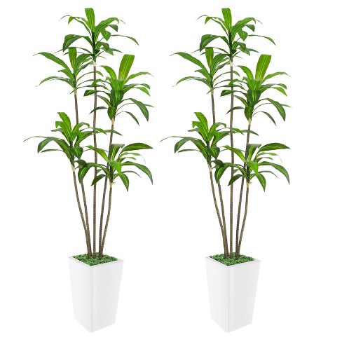 Artificial Dracaena Tree, Faux Dracaena Tree with Tall White Planter, Ideal for Home Decor and Housewarming Gift - image 1 of 4