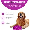 Fun Feeder Slo Bowl, Large Slow Feeder Dog Bowl, 4 Cups - 2 of 4