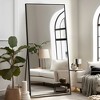 Dovelina Metal Framed Rectangle Full Length Mirror - 2 of 4