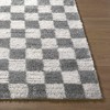 Hauteloom Belita Living Room, Bedroom Area Rug - Contemporary - High Pile - 2 of 4