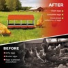 Chicken Nesting Box, 3 Compartment Roll Away Design for High-Volume Egg Collection and Easy Wall Mounting with Metal Legs - 4 of 4