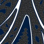 penn state nittany lions