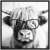 Kate & Laurel All Things Decor 30"x30" Sylvie Highland Cow in Reading Glasses Framed Canvas by The Creative Bunch Studio Black - 2 of 4