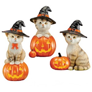 Collections Etc Hand-Painted Pumpkin Witch Cats Halloween Sitters - Set of 3 - 1 of 2
