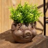 Sullivans 5.5" Brown Outdoor Pig Planter, Resin - 3 of 3