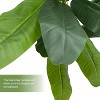 Artificial Fiddle Leaf Fig Tree – Lifelike Fake Palm Plant for Home & Office Decor, No Maintenance, Fade-Resistant,Perfect for Living Room, Bedroom - 3 of 4