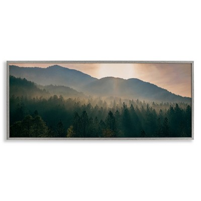 Stupell Industries Morning Sun over Misty Trees, 24" x 10"