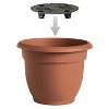 Bloem Ariana Planter with Self-Watering Disk - 4 of 4