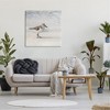 Stupell Industries Sandpiper Bird Stepping Beach Sand Canvas Wall Art - 2 of 4