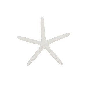 Saro Lifestyle Ocean's Beauty Resin Starfish (Set of 12) - 1 of 3