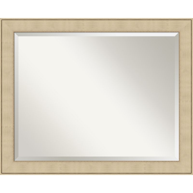 Amanti Art Classic Honey Silver Beveled Framed Wall Mirror, 1 of 11