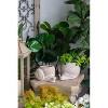 Gulches textured Beige Snail Planter 9.5x8.3x6", Sand and Cement, Stylized Design for Succulents/Herbs - 4 of 4