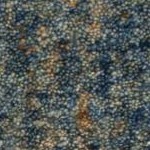 dark blue/beige