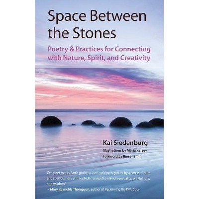 Space Between the Stones - (Poems of Earth and Spirit) by  Kai Siedenburg (Paperback)