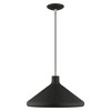 Livex Lighting Metal Shade 1 - Light Chandelier in  Black - 3 of 4