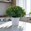 Unique Bargains Artificial Plants Mini Gypsophila Plastic 2.36"x2.36"x5.12" 1 Pc - 2 of 4