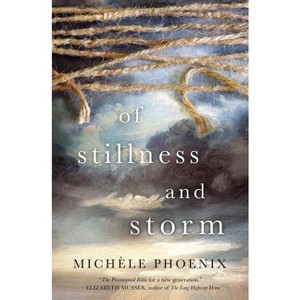 Of Stillness and Storm - by  Michele Phoenix (Paperback) - 1 of 1