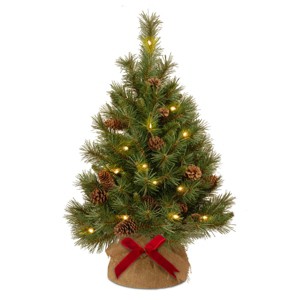 3ft Pre-Lit Pine Cone Christmas Tree with LED Lights, Flocked Artificial Pine in Burlap Base for Tabletop - 1 of 4