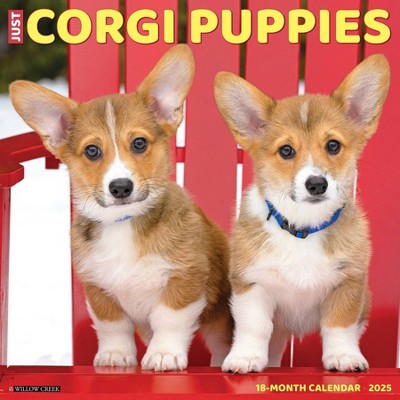 Willow Creek Press Corgi Puppies 2025 Wall Calendar: Monthly 12x12 Inch Paper, All Ages, Blue, Sewn Binding