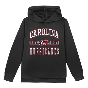 NHL Carolina Hurricanes Toddler Boys' Hooded Sweatshirt - 1 of 1