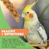 Vivlly – 5 lb Sun-Dried Spray Millet – 100% Natural Non-GMO Bird Treat for Parakeets, Cockatiels & Finches - 3 of 4