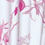 blush bloom