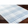 Hauteloom Rectangle Area Rug   Arctic Stone - 3 of 4