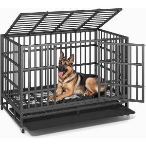 XBRIGH 48-Inch Blue\Orange\Green\Black Heavy Duty Dog Crate with Wheels, Sturdy Door Lock, Double Doors and Removable Tray Design - 1 of 4