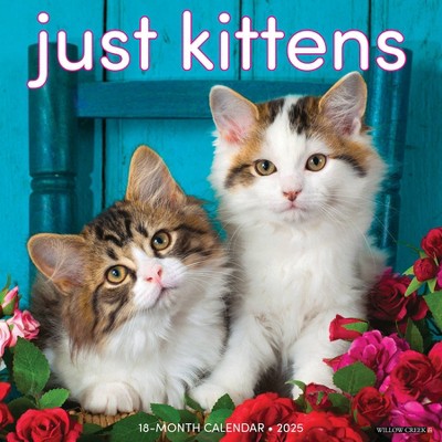 Willow Creek Press Kittens 2025 Wall Calendar: Monthly 12x12" Blue Paper, All Ages, Sewn Binding