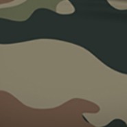 camouflage
