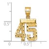 Black Bow Jewelry 14k Yellow Gold, Varsity Collection, Small D/C Pendant Number 45 - 2 of 3