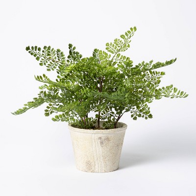 13" x 13" Artificial Fern Plant in Terracotta Pot - Threshold™ designed with Studio McGee