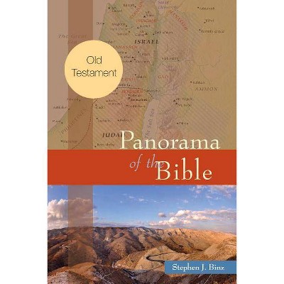 Panorama of the Bible - by  Stephen J Binz (Paperback)