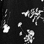 black floral