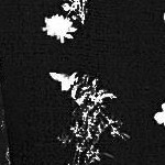 black floral