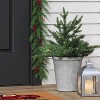 20" Pre-lit LED Battery Operated Mixed Pine Christmas Artificial Pot Filler Warm White Lights - Wondershop™ - image 2 of 4