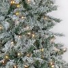 9 ft Snowy Harwich Hinged Artificial Christmas Tree with 700 Warm White LED Lights & Caps+ PowerConnect™ System - 3 of 4