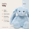 Bearington Tilly The Bunny Stuffed Animal, 14 Inch Plush Bunny - 2 of 4