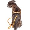 Pet Life Reflective Stitched Easy Tension Adjustable 2-in-1 Dog Leash and Harness - 2 of 3