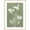 Amanti Art Floral Dance III by Leda Robertson Wood Framed Wall Art Print - 4 of 4