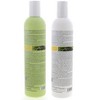 Milk_Shake Energizing Blend Shampoo 10.1 & Milk_Shake Energizing Blend Conditioner 10.1 oz DUO - 2 of 4